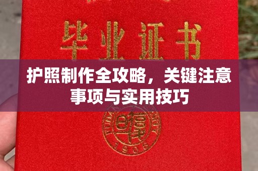 石龙护照制作全攻略，关键注意事项与实用技巧