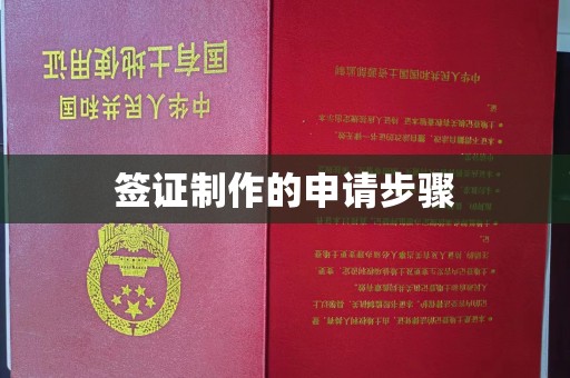 石龙签证制作的申请步骤