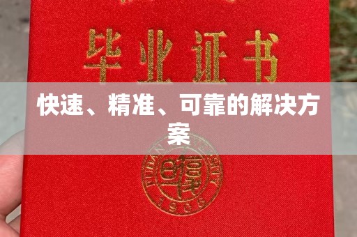 石龙快速、精准、可靠的解决方案
