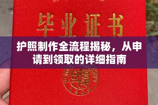 石龙护照制作全流程揭秘，从申请到领取的详细指南