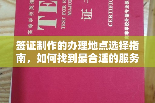 石龙签证制作的办理地点选择指南，如何找到最合适的服务点