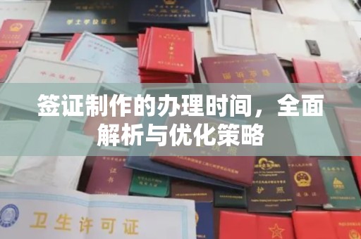 石龙签证制作的办理时间，全面解析与优化策略