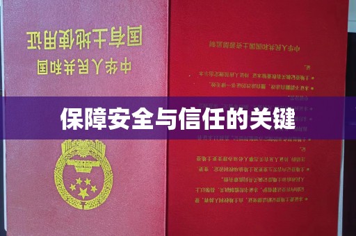 石龙保障安全与信任的关键