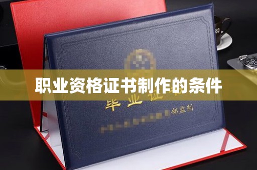 石龙职业资格证书制作的条件