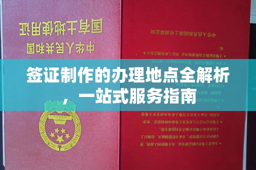 石龙签证制作的办理地点全解析，一站式服务指南