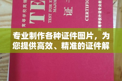 石龙专业制作各种证件图片，为您提供高效、精准的证件解决方案