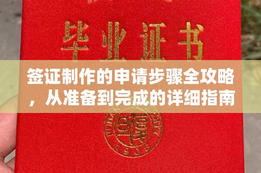 石龙签证制作的申请步骤全攻略，从准备到完成的详细指南