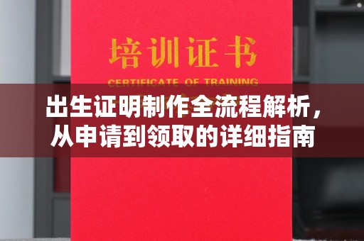 石龙出生证明制作全流程解析，从申请到领取的详细指南
