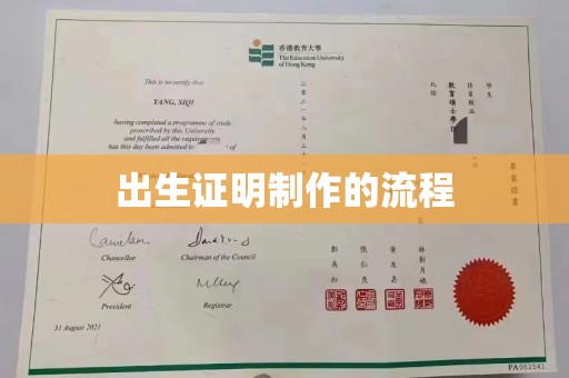 石龙出生证明制作的流程