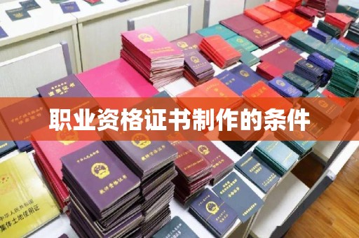 石龙职业资格证书制作的条件